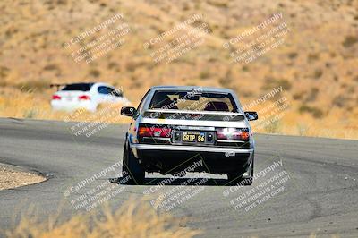 media/Nov-16-2024-Extreme Speed (Sat) [[6587d07cc4]]/Gold Group/Session 2 (Turns 3 and 5)/